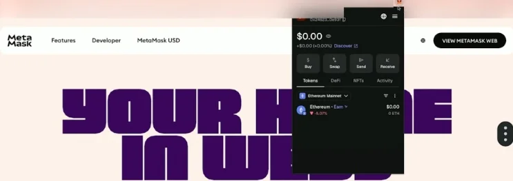 MetaMask browser extension interface showing wallet balance and network settings.
