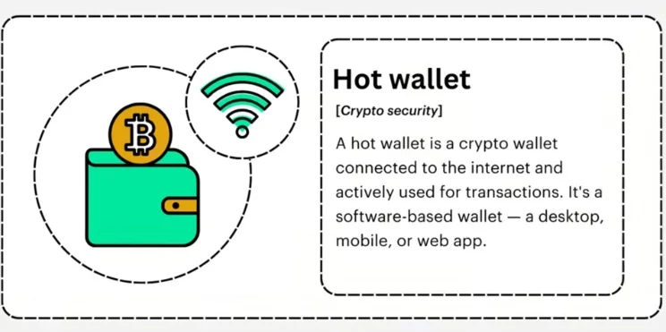Text card defining a hot wallet as a crypto wallet connected to the internet