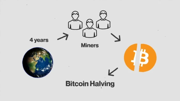 Diagram representing the Bitcoin halving process with a Bitcoin coin split in half.